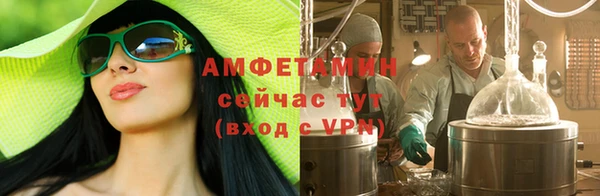 шишки Верея