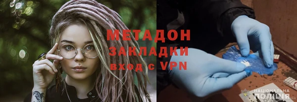шишки Верея