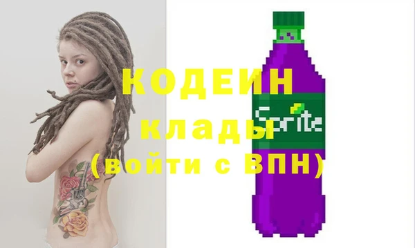 шишки Верея