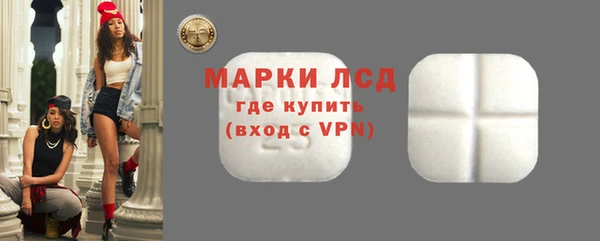 шишки Верея