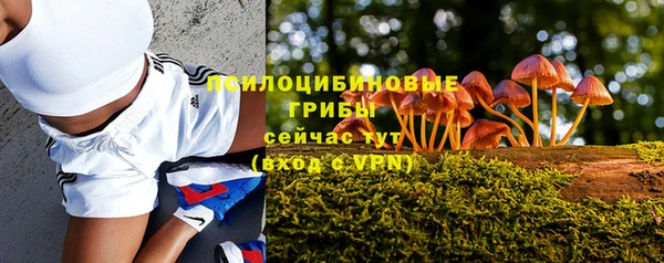шишки Верея