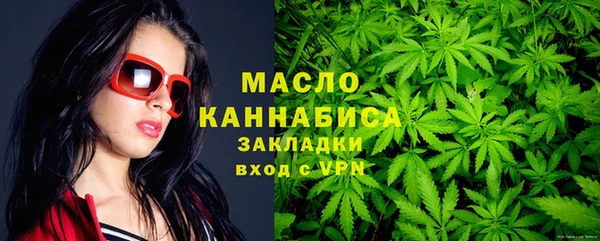шишки Верея
