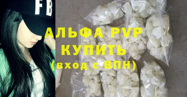 шишки Верея