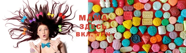 шишки Верея