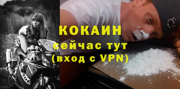 шишки Верея