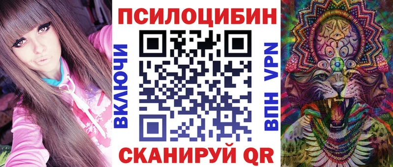 Купить где  Ужур  Псилоцибиновые грибы Cubensis 
