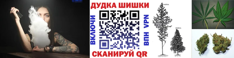 Купить закладки  Ужур  Бошки Шишки SATIVA & INDICA 